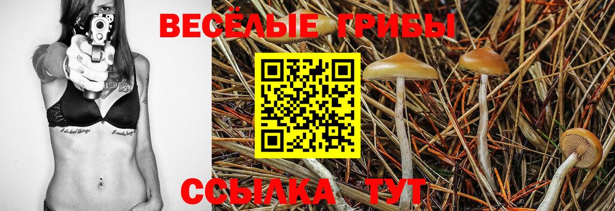 Псилоцибиновые грибы прущие грибы  Вход с VPN  Галлюциногенные грибы мицелий  Малоярославец 