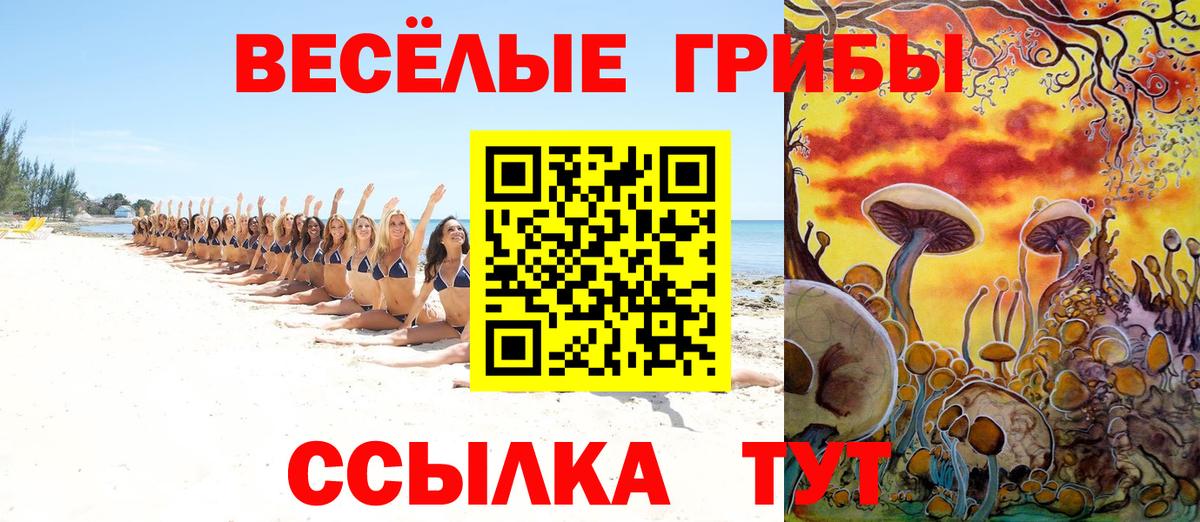 Псилоцибиновые грибы ЛСД Малоярославец